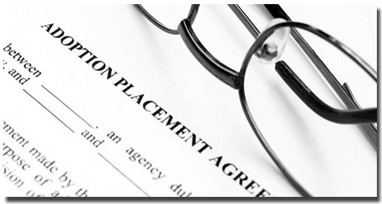 Types of Schools With ABA-Approved Paralegal Programs